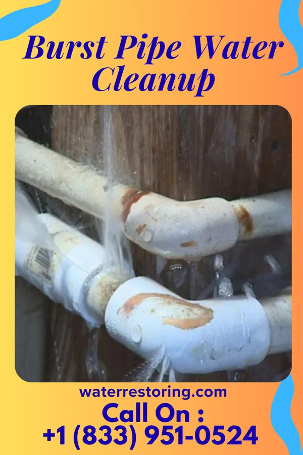 Burst Pipe Water Cleanup in Roseto, PA