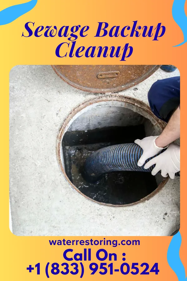 Sewage Backup Cleanup in Roseto, PA