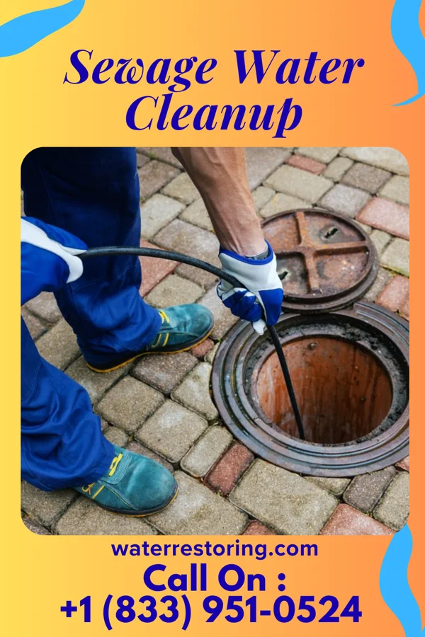 Sewage Water Cleanup in Roseto, PA