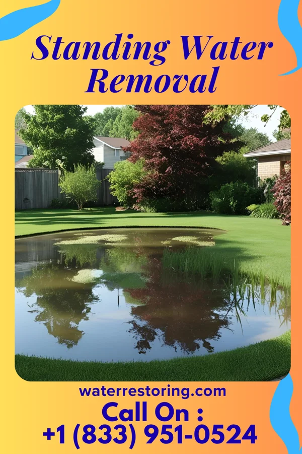 Standing Water Removal in Roseto, PA